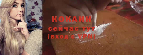 ПСИЛОЦИБИНОВЫЕ ГРИБЫ Арсеньев