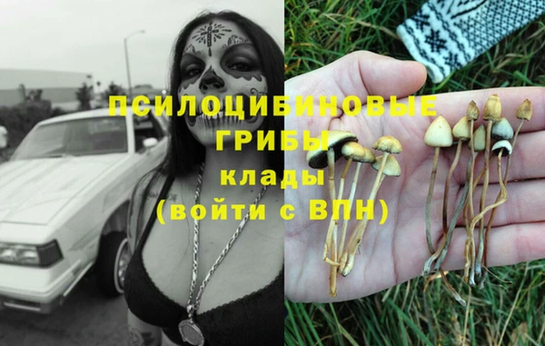 бошки Аркадак