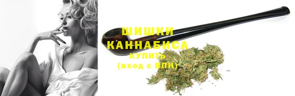 ПСИЛОЦИБИНОВЫЕ ГРИБЫ Арсеньев