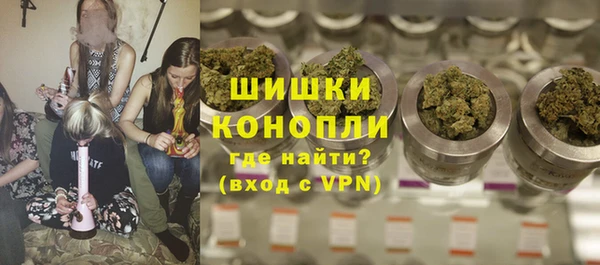 ПСИЛОЦИБИНОВЫЕ ГРИБЫ Арсеньев