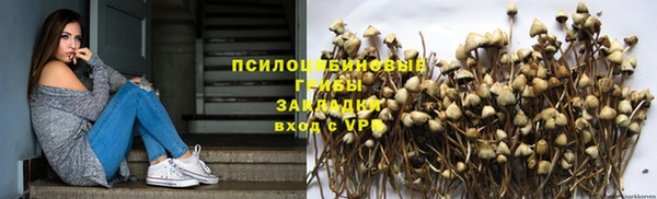 Альфа ПВП Армянск