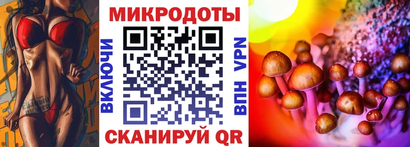 наркошоп  Светлоград  Галлюциногенные грибы Psilocybine cubensis 