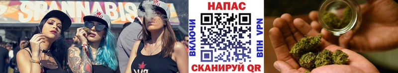 МАРИХУАНА ГИДРОПОН  Светлоград 
